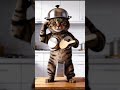 Chef Cat’s Kitchen Dance Battle! 👨🍳🎵 #shorts #funnyanimals