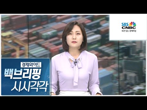 [백브리핑 다시보기] 日 수출 규제 대응 자립화 속도