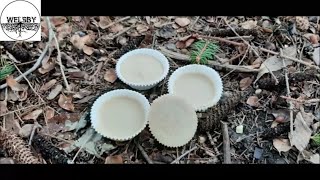 Download Lagu DIY Fixin Wax MP3