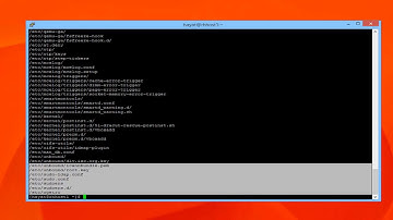 Linux |Linux Disk Systems