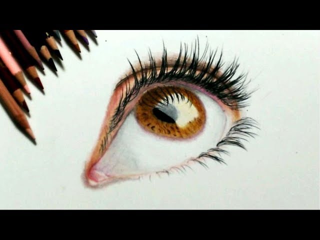 色鉛筆で目を描いてみた【目の描き方】 Realistic colored pencil