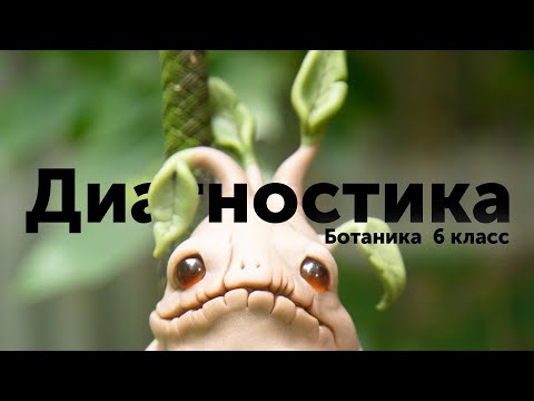 Ботаника 6 класс - НД МЦКО биология, разбор демоверсии. Мартовская диагностика.