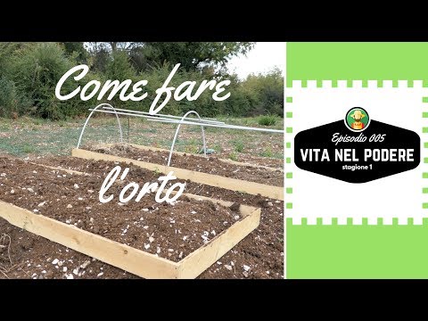 Video: 3 modi per realizzare una mini serra