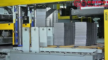 RUIHUI Fully Smart Stamping Loading  Solution