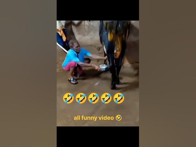 Epic Funny Video 😂😂😂 #shorts #viralshorts #comedy #funnymoments #fails #humor
