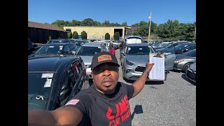 BUY NOW AUCTION SALES LIVE FROM LIMS LOT USA