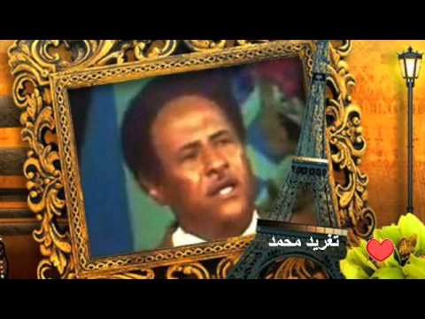لو بعدي بيرضيه وشقاى بهنيه اداء بن البادية تغريد محمد
