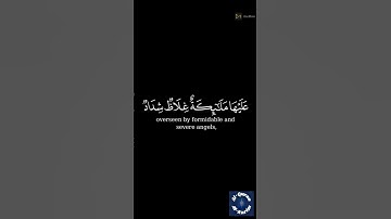 يا أيها الذين آمنوا قوٓاْ أنفسكم وأهليكم نارا القارئ محمد اللحيدان