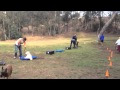 Sit Mean Sit Dog Training - San Diego - Group Class Sit Mean Sit Dog Training - San Diego - Group Class