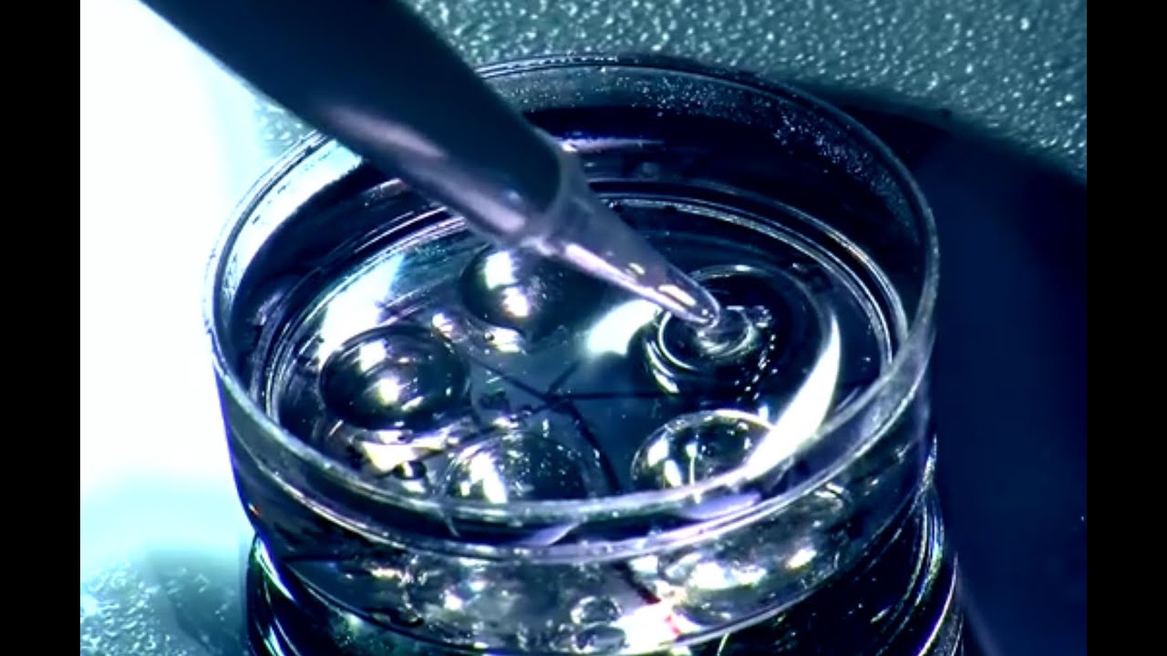 DNA and Genetics in Cattle breeding - TvAgro by Juan Gonzalo Angel