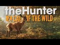 the hunter stream a kecaný