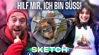 Doppelmoral im Tierschutz: Süßes Eichhörnchen, leckeres Schwein