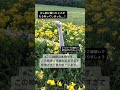 奇跡を起こす白蛇様 #shorts