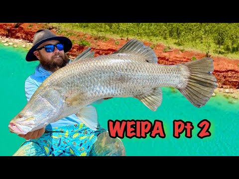 CRAZY BARRA FISHING WEIPA// The Cape Finale! ...Part 2