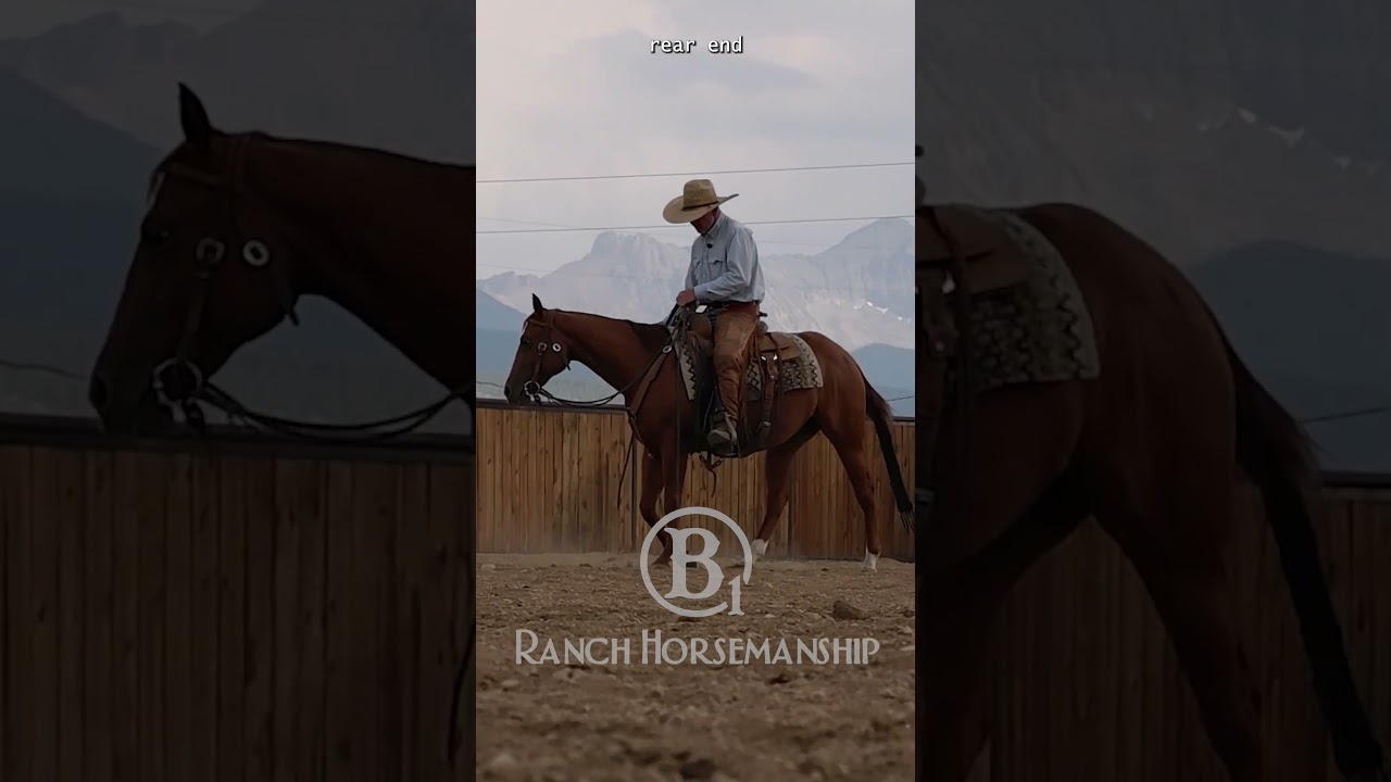 No reins. Just leg.