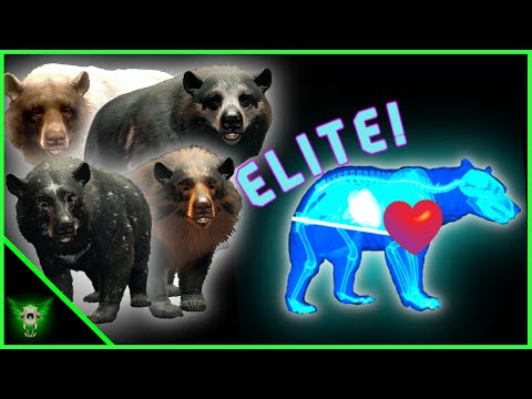 Two Years of EPIC Heartshots and Nine Great One Black Bears! TheHunter: Call of the Wild