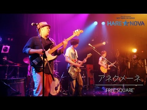 FREE SQUARE ／ アネクメーネ 【HARE NOVA vol .02】