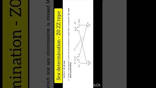 Sex determination - Z0 ZZ type | neet biology | class 12th biology | @inditeaching