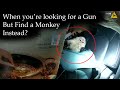 Cop Finds Monkey During Search