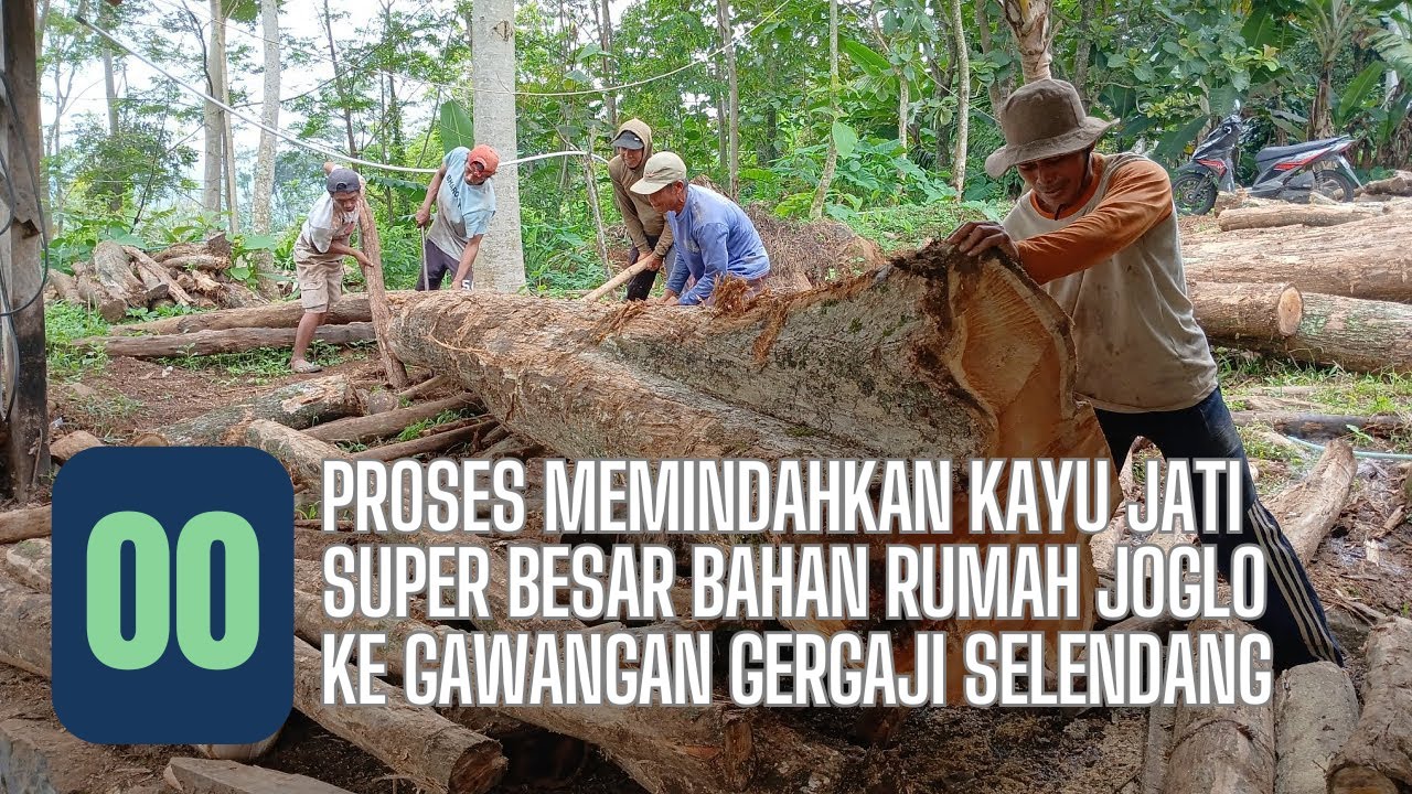 Top Ahli Kayu Ungkap Teknik Terbaik Untuk Mengolah Kayu Jati Super Besar