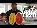 Taste Test Yellow and Red Watermelon | Gardening