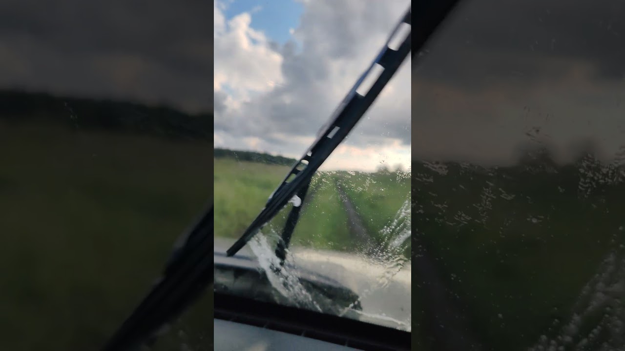 покатушки по лесу 