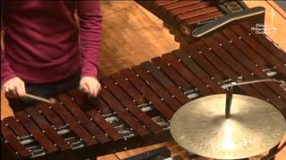 PERCUSSION 101: Xylophone Resimi