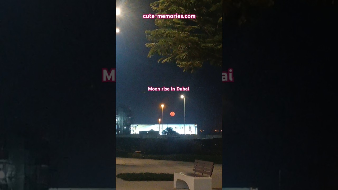 Moon rise in Dubai - 15th March, 2025 - Science park Dubai