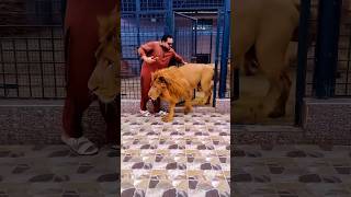 Sher King 🦁🐯 ha Cat Nhi...😨😡|Mian Saqib|#ytshorts #petlover #miyanbhai #viralvideo
