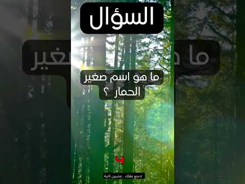 ما هو اسم صغير الحمار