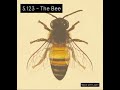 S123  the bee