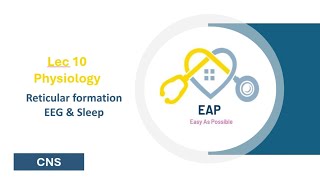 Lec 10 - Physiology - Reticular Formation EGG & Sleep - CNS 42