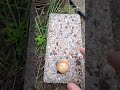 ASMR Rolling Marble sounds #shorts #asmr