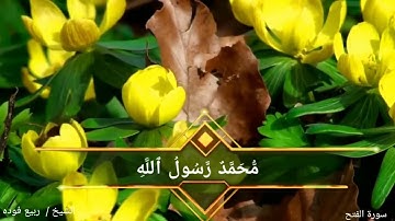 ( مُّحَمَّدٌ رَّسُولُ اللَّهِ ۚ )  (Muhammad (SAW) is the Messenger of Allah )  سورة الفتح بصوت جميل