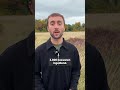 Verdwijnt 'de laatste wildernis van Brussel' binnenkort? | BRUZZ