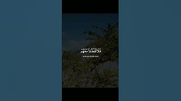 {أَنْ إِذَا سَمِعْتُمْ آيَاتِ اللَّهِ يُكْفَرُ بِهَا وَيُسْتَهْزَأُ بِهَا }سورة النساء آية ١٤٠