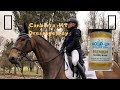 Dressage in the Rain 🌧Undie advice, Lewis cut his leg! Canberra Comp Vlog