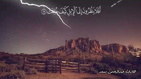 تلاوة مؤثرة ( افلا ينظرون الى الابل كيف خلقت ) القارئ عبدالرحمن مسعد