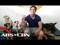 Milo & friends | Rated K