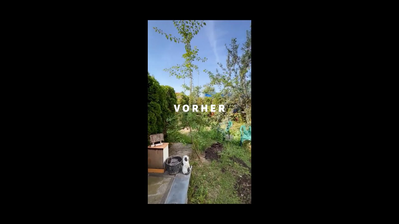 Vorher und Nachher: Beeindruckende Gartentransformation bei Wallnerrasenpflege!