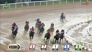 20160902 렛츠런파크 부산경남 1경주 1000m