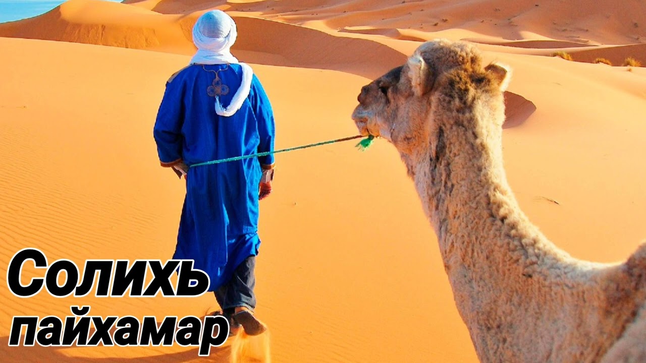 Шейх Яхья | Солихь Пайхамарах ﷺ лаьцна хьехам.