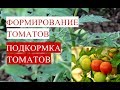 Формирование Томатов. Подкормка Томатов.