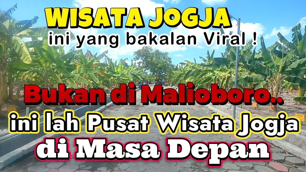 Nggak nyangka ! Kebun Pisang Terluas Terlengkap di Asia ada di Kota Jogja, Wisata Jogja Terbaru 2023