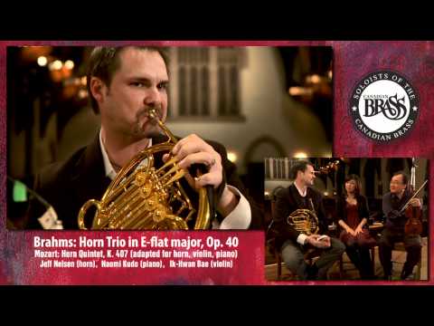 Brahms Horn Trio - Interview Video