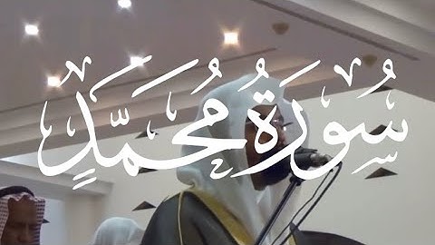 فَاعلَم أَنَّهُ لا إِلهَ إِلَّا اللَّهُ - سورة محمد - ياسر الدوسري تلاوة رائعة لا توصف