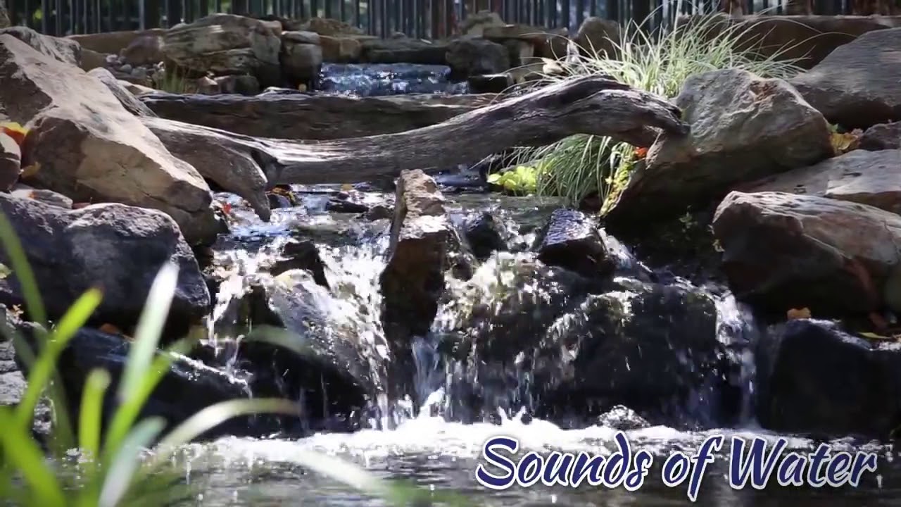 Sounds of Water Custom Oasis