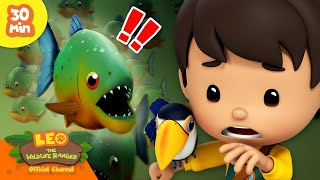 ColdBlooded Creatures! ☃ Lizards, Fish & more!  | Leo the Wildlife Ranger | Kids Cartoons