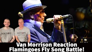 Van Morrison Reaction - Flamingoes Fly Song Battle - 2 Different Versions!