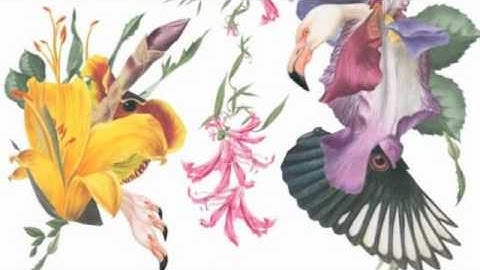 cappuccino vol 5.m4v